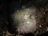 image of grave number 946989